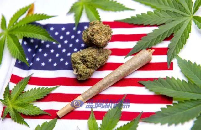 2021年,美国还有4个州即将大麻合法化