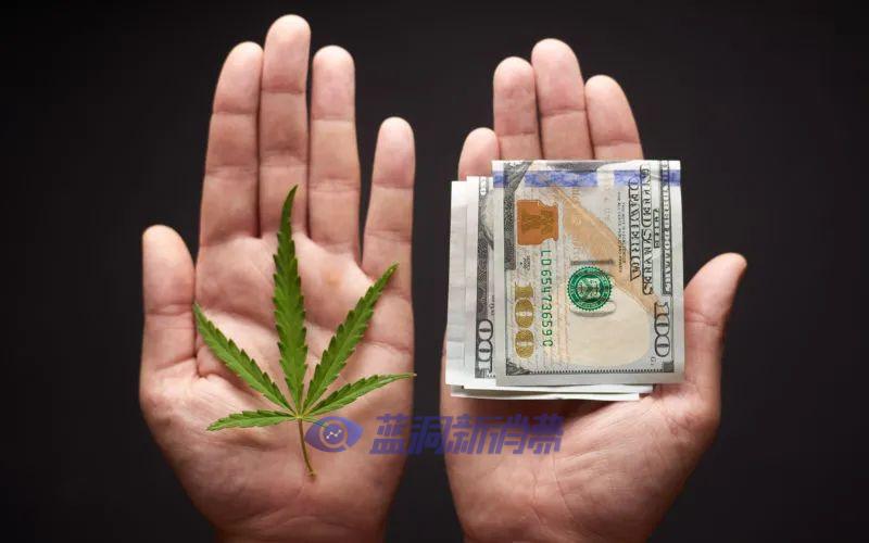2021年,美国还有4个州即将大麻合法化