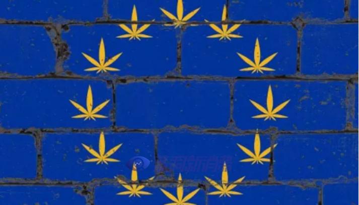 重大突破!大麻萜酚CBG被列入欧盟化妆品添加成分